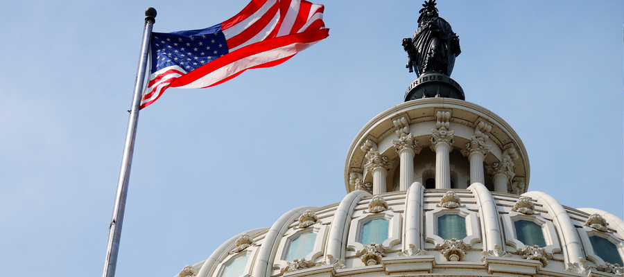 Guide to USA politics for international healthcare professionals